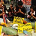 ที่มาภาพ : http://www.environnet.in.th