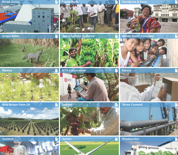 16 sustainability champions
