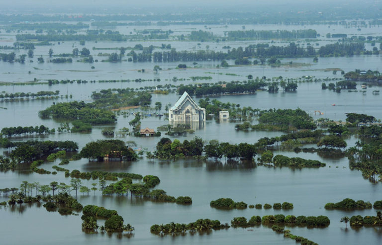 flood rice