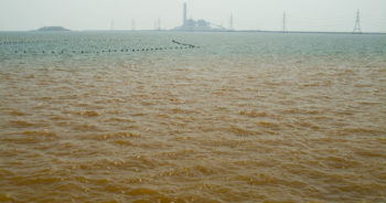 น้ำเสียที่ปล่อยลงทะเล ที่มาบตาพุด ที่มาภาพ : http://www.oknation.net/blog/home/blog_data/528/2528/images/mab9.jpg