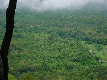 พื้นที่ป่าสักบริเวณหน่วยพิทักษ์อุทยานแห่งชาติแม่เรวา ป่าเป็นป่าอายุกว่า 20-30 ปี ที่มา: http://www.bloggang.com/mainblog.php?id=inthedark&month=12-10-2007&group=14&gblog=35