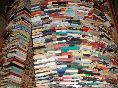 ที่มาภาพ : http://sandboxworld.com/wp-content/uploads/2010/08/books.jpg