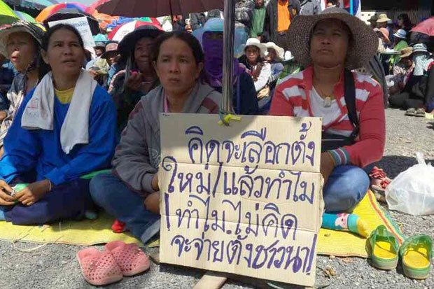 ชาวนาชุมนุมประท้วงเรียกร้องให้รัฐบาลจ่ายเงินค่าจำนำข้าวที่ค้างจ่ายโดยเร็ว ที่มาภาพ :http://www.posttoday.com