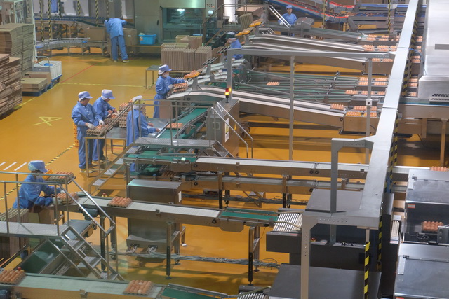 โรงงานผลิตไข่ไก่ที่ปักกิ่งนำเทคโนโลยี่สมัยใหม่มาใช้