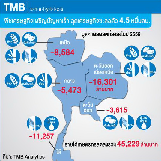 TMB Analytics คาด ปี 2559