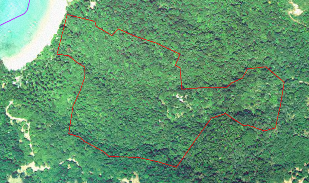 กรมป่าไม้ได้มีหนังสือแจ้งกรมที่ดิน ขอให้กรมที่ดินเพิกถอนโฉนดที่ดินเลขที่ 98414 และโฉนดที่ดินเลขที่ 98415 ในท้องที่ตำบลกะรน อำเภอเมืองภูเก็ต จังหวัดภูเก็ต ที่มาภาพ : http://www.forest.go.th/fl_mgt/images/stories/ortho.png
