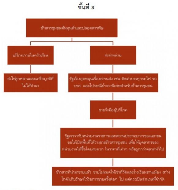 thaipublica9-ชาวนารายย่อย