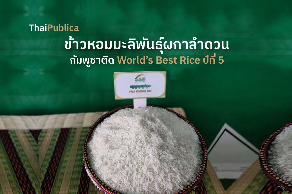 ASEAN Roundup ข้าวหอมมะลิพันธุ์ผกาลำดวน กัมพูชาติด World’s Best Rice ปี