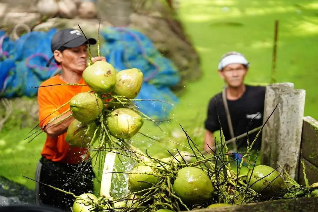 ThaiPublica_Aromatic Farm2